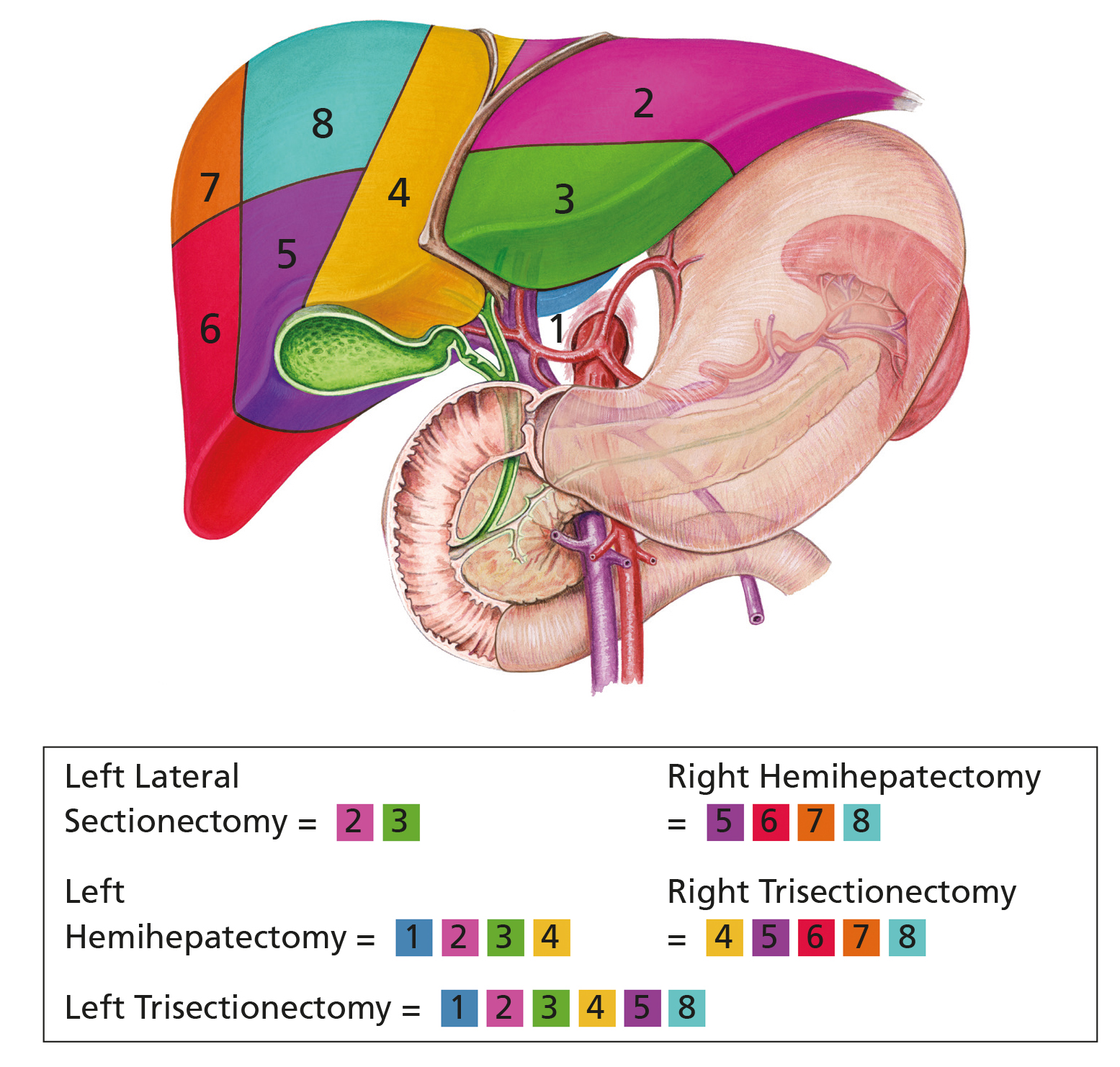 Liver Resection Enhanced Recovery After Surgery (ERAS) - Leeds Teaching ...