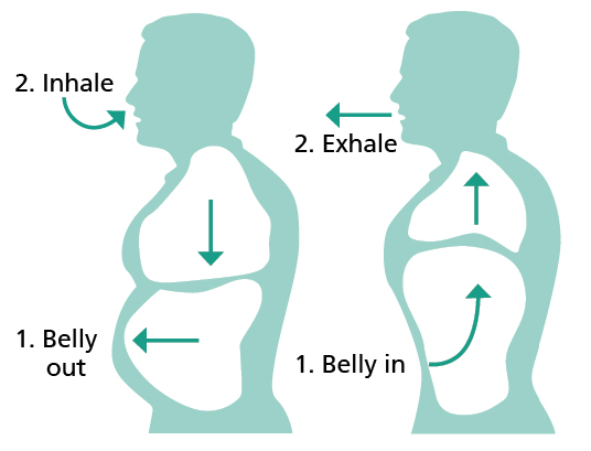 Diagram showing breathing control through inhaling and exhaling and showing the belly moving out and in