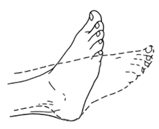 Illustration of active ankle movement exercise.