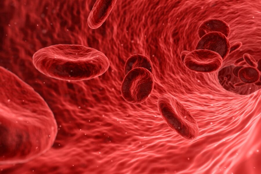 An electronically made image of red blood cells travelling in a blood vessel